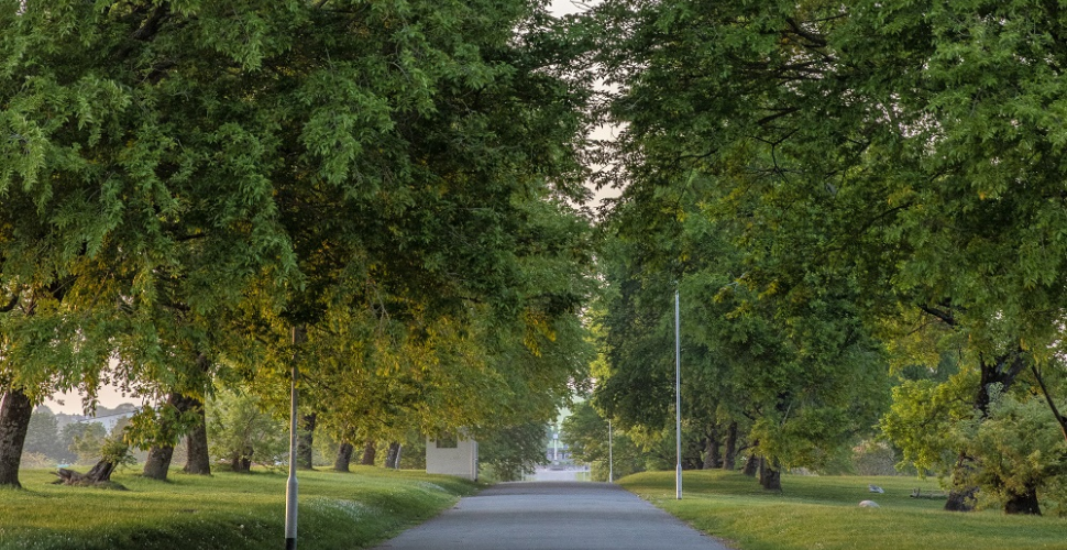 Central Park path